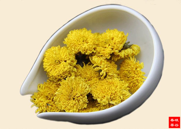 菊花茶的营养与功效宜忌