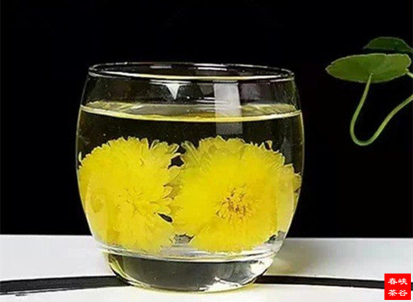 菊花茶的营养与功效宜忌