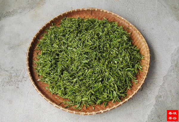 茶叶有九种超级功效