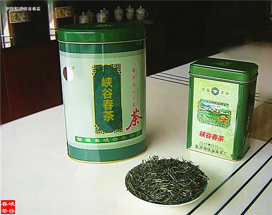 峡谷春鸣春茶
