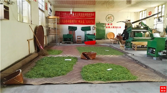 峡谷春茶厂
