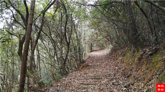 西源紫云山