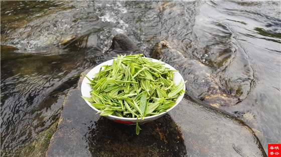 喝一回好茶 绝对让你回味一生