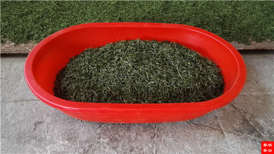 喝一回好茶 绝对让你回味一生