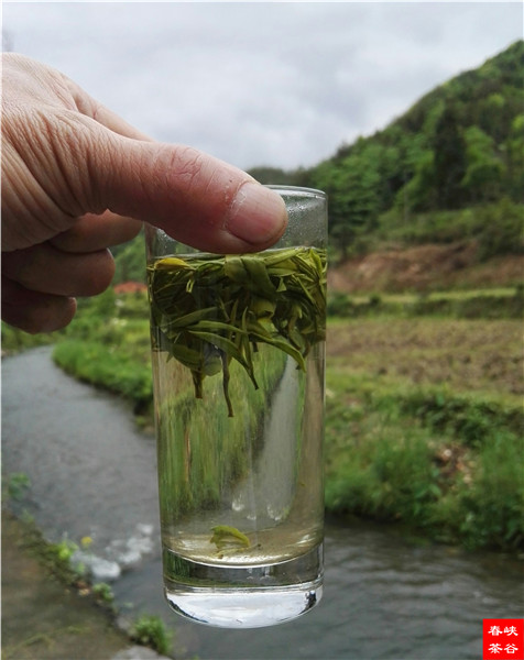 喝一回好茶 绝对让你回味一生