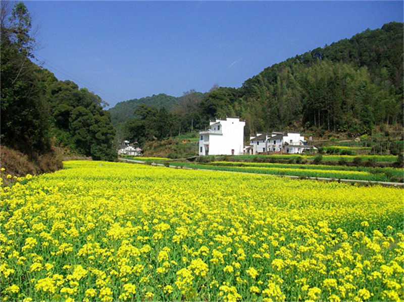 西源——石峡谷韵春意浓