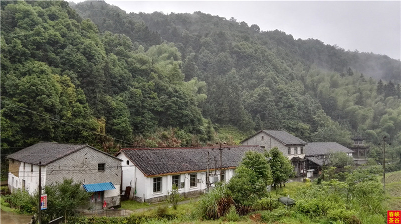 西源——石峡谷韵春意浓