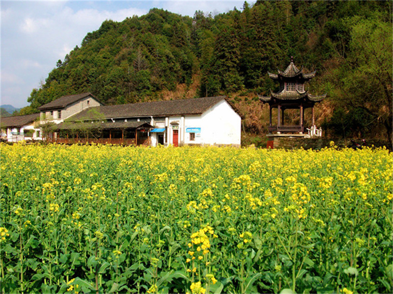 西源——石峡谷韵春意浓