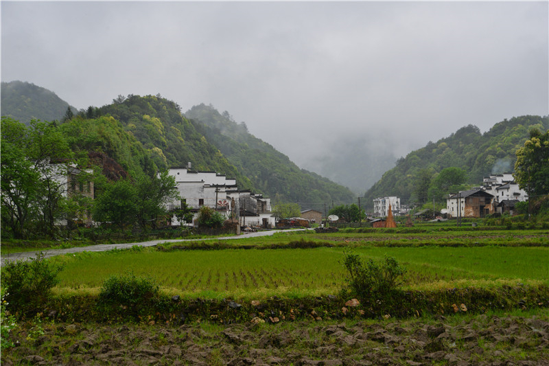 西源——石峡谷韵春意浓