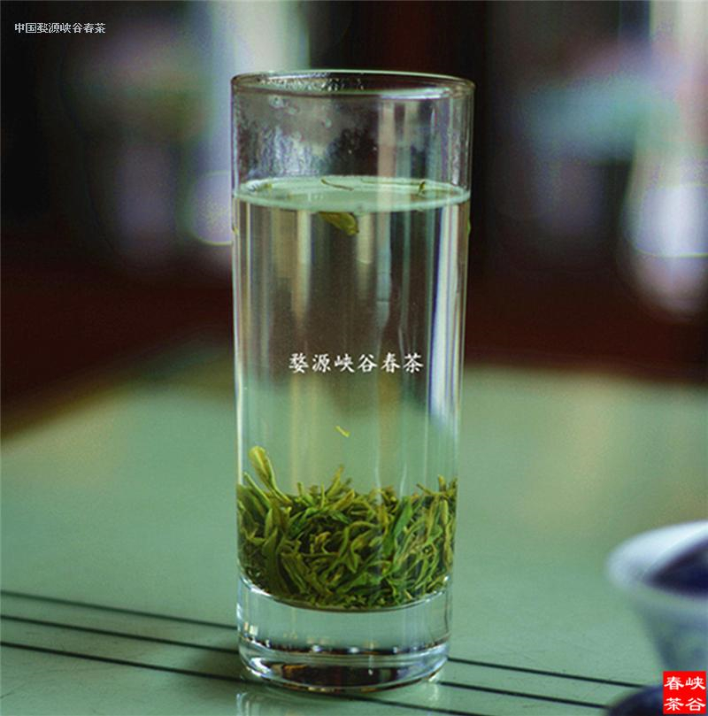 茶杯里的世界史