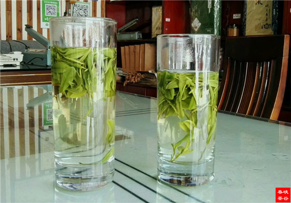 品茗思意峡谷春