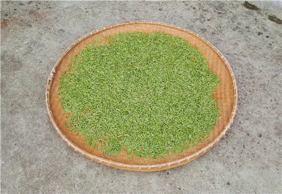 茶的沉浮却给了人清醒