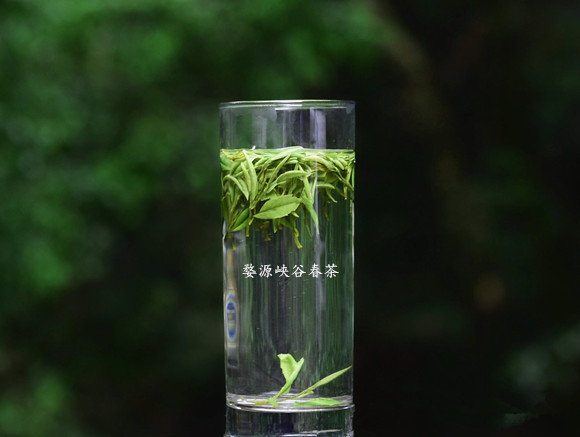 茶与药的关系