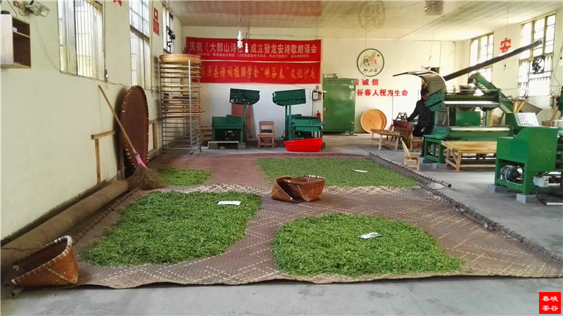 喝茶 可补充你日能量中所需的维生素