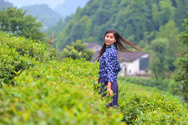 喝爱茶的人优雅、睿智、自信!
