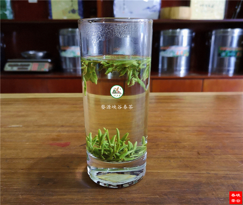 雨前茶深受大众茶友的青睐 雨前茶深受大众茶友的青睐