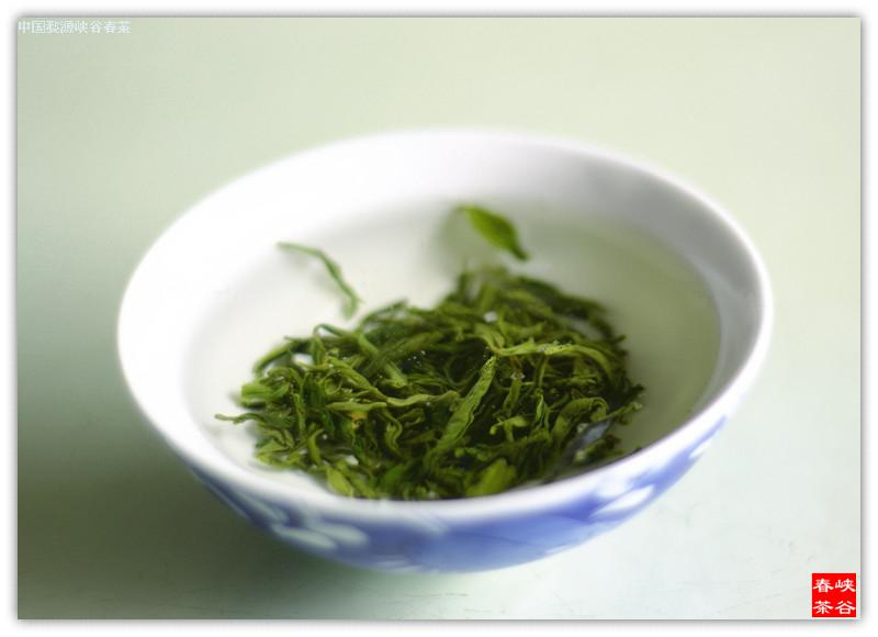 五律*峡谷春品茶